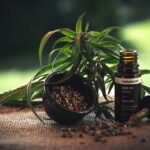 Le CBD en 8 questions (pour ceux qui n’y connaissent rien)